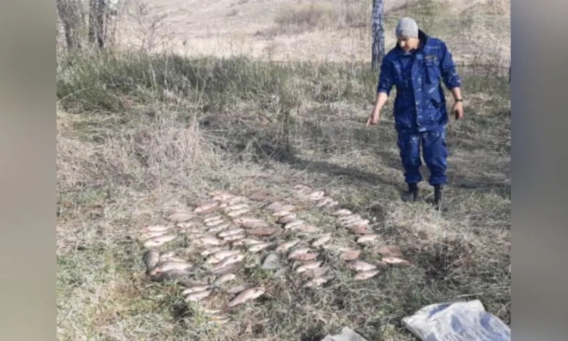 Полицейские задержали браконьера, который выловил около ста рыб в Алтайском крае
