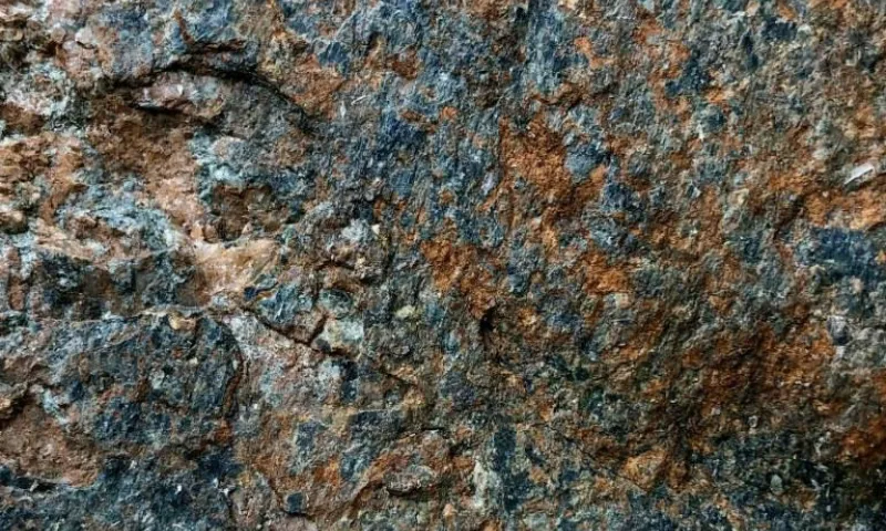 Испанец облил водой наскальную живопись возрастом 6000 лет, чтобы она стала ярче 