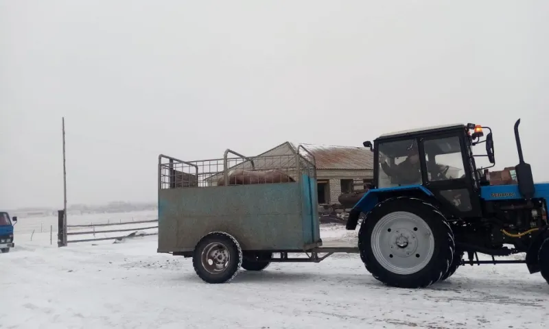 Замерзающая на алтайской трассе лошадь нашла приют