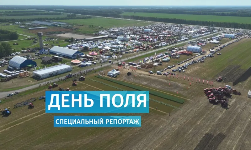 Специальный репортаж: День поля