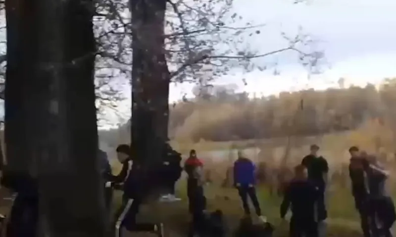 Массовая драка подростков произошла в Республике Алтай