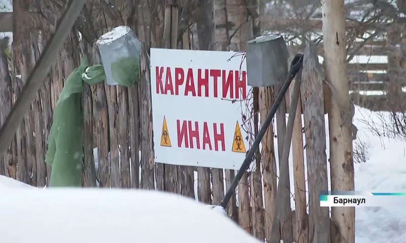 В хозяйстве под Барнаулом действует карантин из-за ИНАН – опасной болезни лошадей
