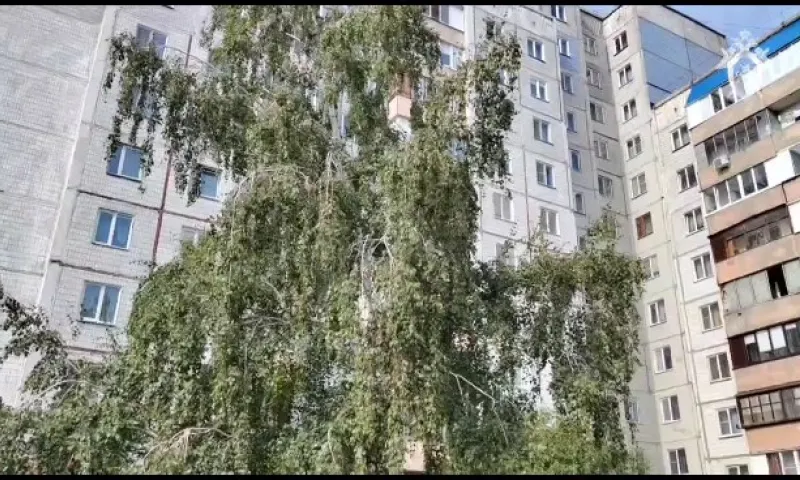 Жительница Барнаула убила своих малолетних детей и покончила с собой