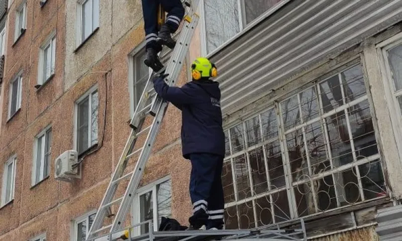 Обеспокоенные состоянием пенсионерки соседи вызвали спасателей в Барнауле