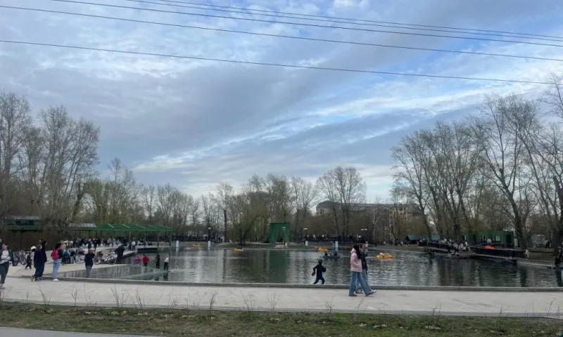 Руководитель парка «Изумрудный» предложил депутатам Барнаульской городской Думы создать зоны, свободные от электросамокатов