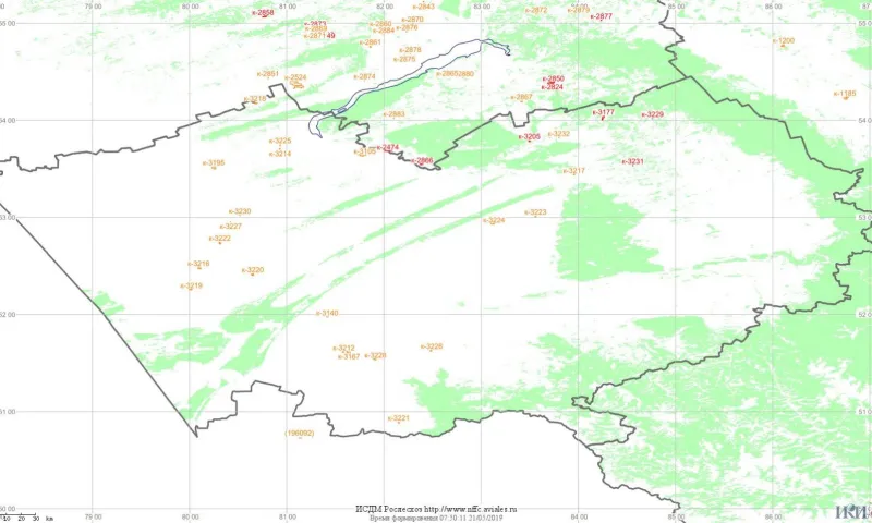 Лесные пожары произошли в двух районах Алтайского края