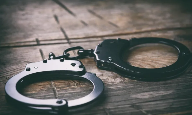 Уголовные дела в отношении зампредседателя правления «Таджикской диаспоры» возбуждены в Рубцовске