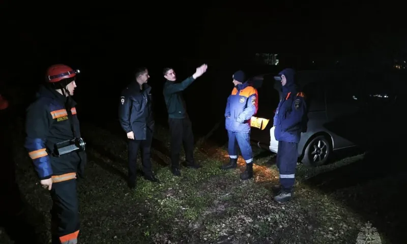 Потерявшуюся в лесу под Барнаулом женщину искали 26 человек 