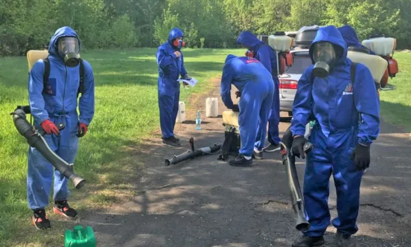 Стало известно, когда в Барнауле проведут обработку зеленых зон от клещей