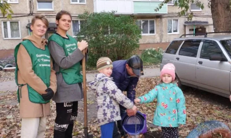 Cаженцы рябины высадили во дворе дома в Барнауле