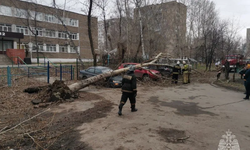 В Алтайском крае два человека получили травмы при сильном ветре