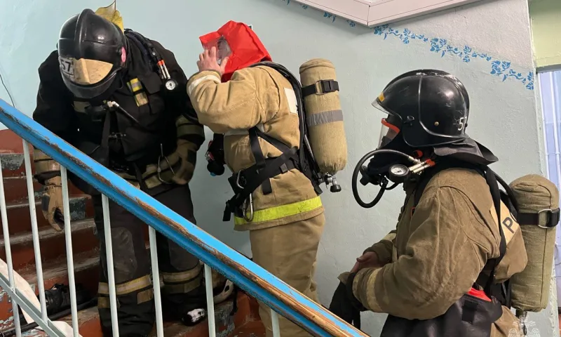 В Барнауле пожарные спасли трёх взрослых и ребёнка при возгорании в квартире