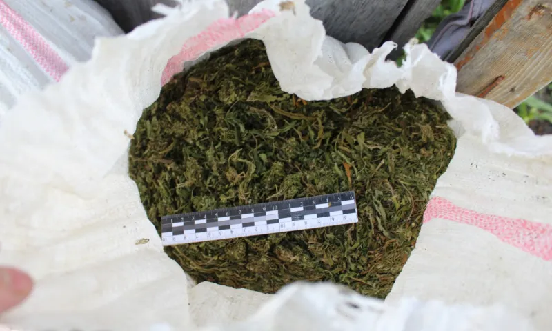 У жителя Алтайского края изъяли более 23 килограммов марихуаны