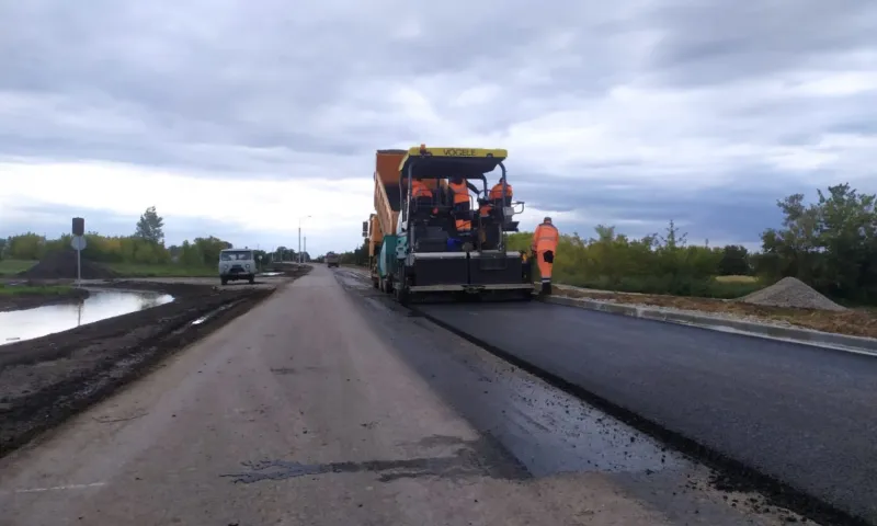 Дорогу к животноводческому комплексу за 175 млн рублей строят в Алейском районе