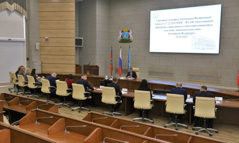 В Барнауле обсудили создание муниципального предприятия для отлова бездомных животных