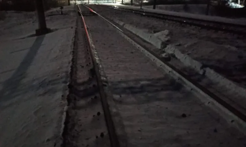 Житель Алтайского края погиб на железнодорожных путях