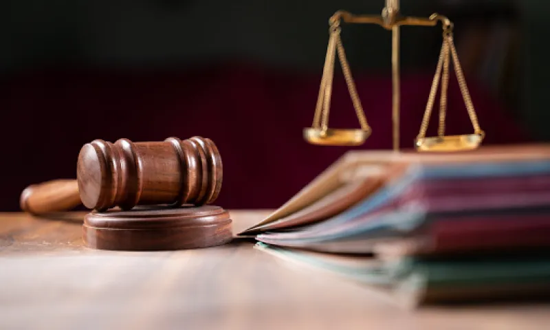 В Алтайском крае в суд направлено уголовное дело о контрабанде лесоматериалов