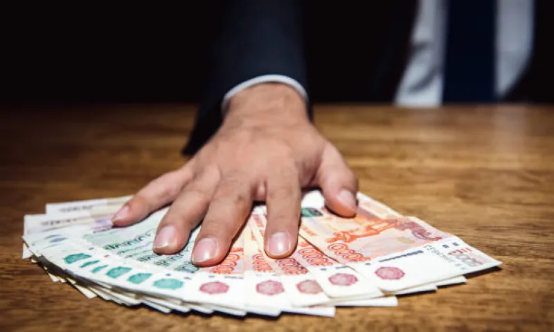 Группа из 28 мошенников получала деньги на несуществующих детей в Алтайском крае