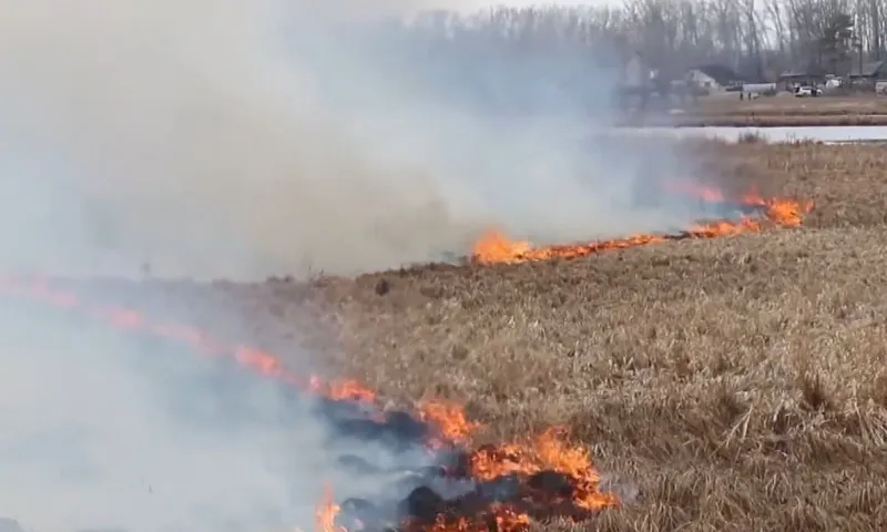 51 пожар ликвидировали за последние сутки в Алтайском крае