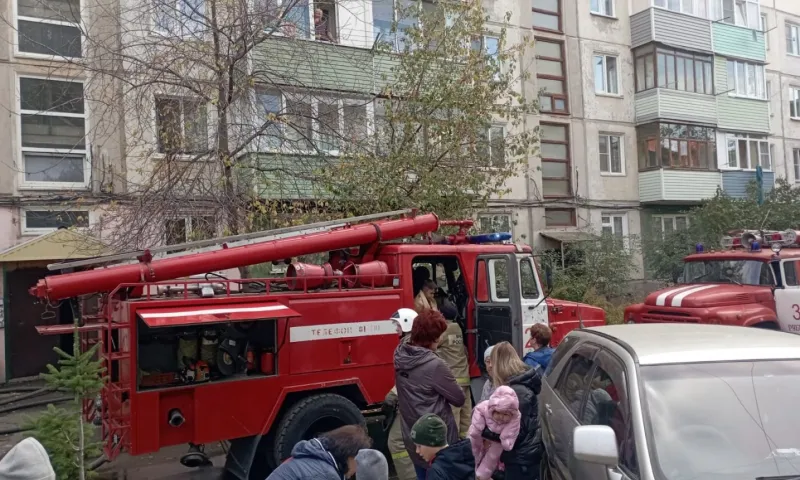 Пожарные спасли 10-летнего ребенка и котика из огня в Рубцовске