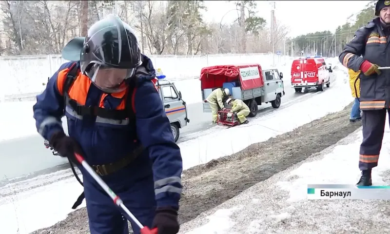 В Барнауле готовятся к тушению лесных пожаров