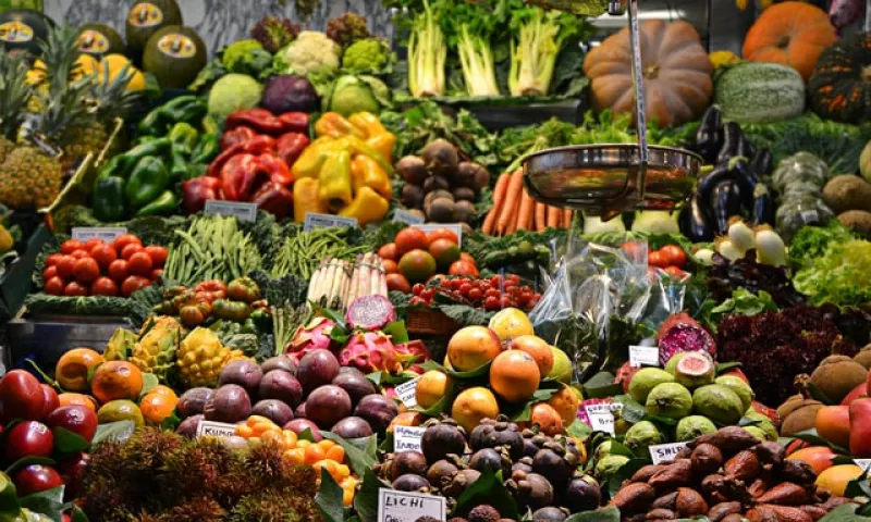 Диетолог назвала самые полезные для почек продукты