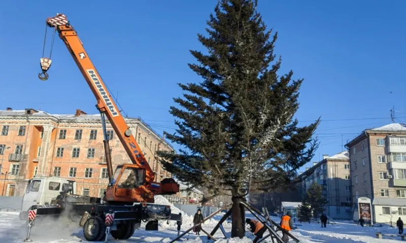 Главную городскую елку установили в Рубцовске
