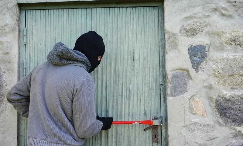В Зональном районе полицейские поймали вороватого меломана
