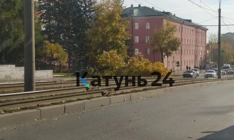 Сильный ветер бушует в Барнауле. Есть пострадавшие