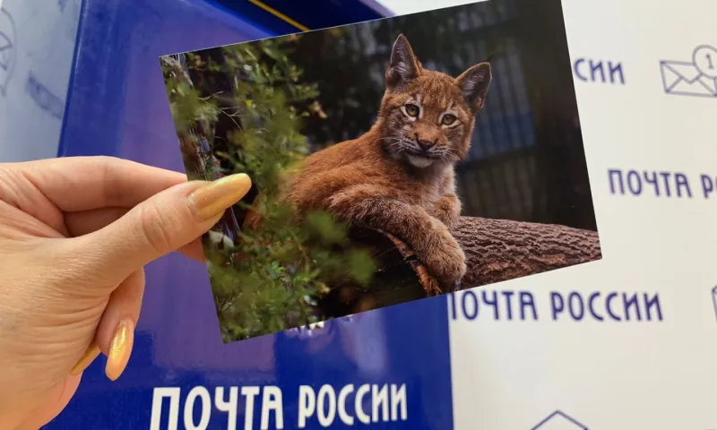 Барнаульцы смогут бесплатно отправить открытки в любую точку России