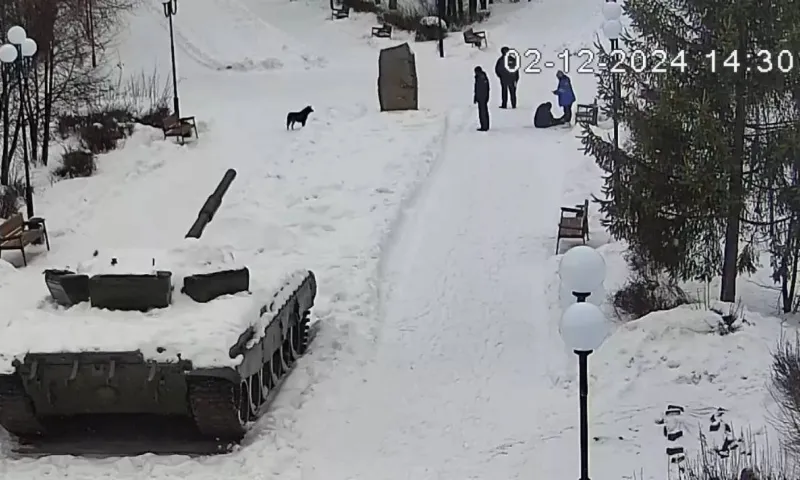Собака перепутала врачей с недоброжелателями и не подпускала их к потерявшему сознание бийчанину