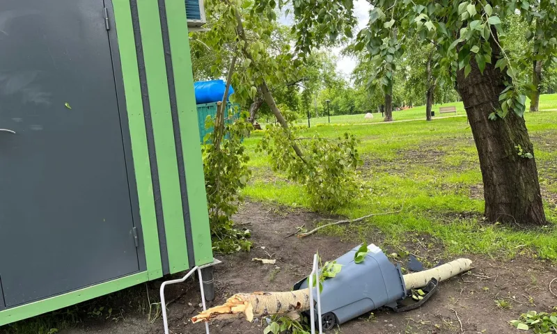 Подростка госпитализировали после падения дерева в барнаульском парке