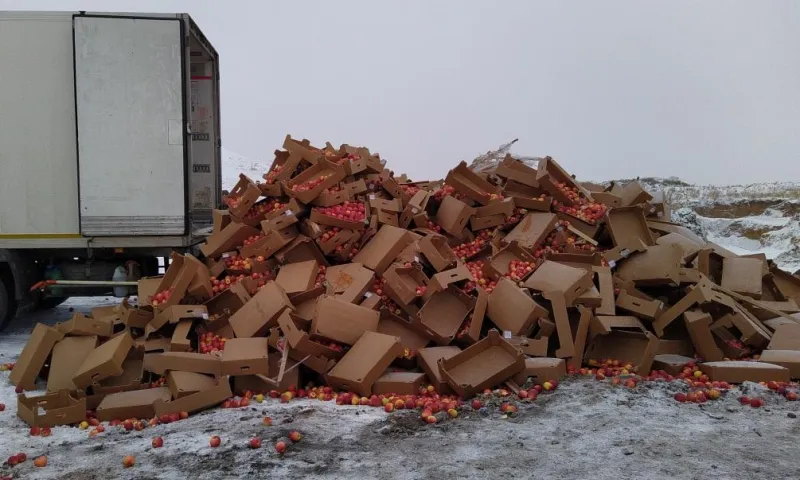 Более 20 тонн санкционных яблок уничтожили в Алтайском крае