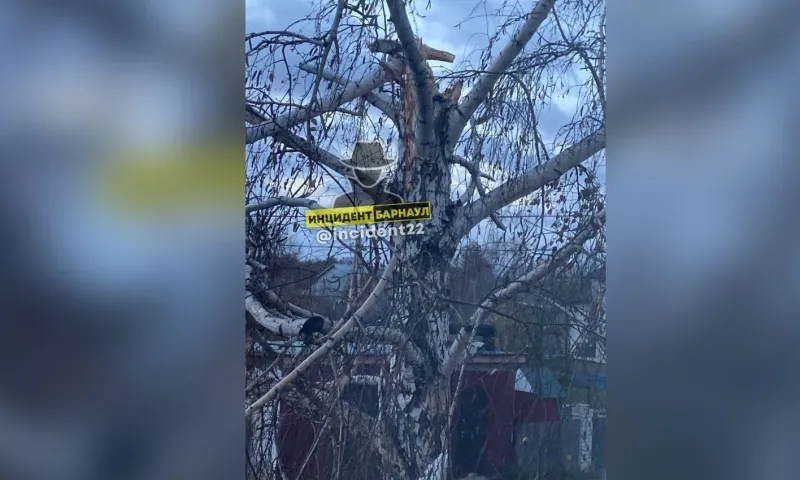 Последствия ураганного ветра устраняют в Барнауле 