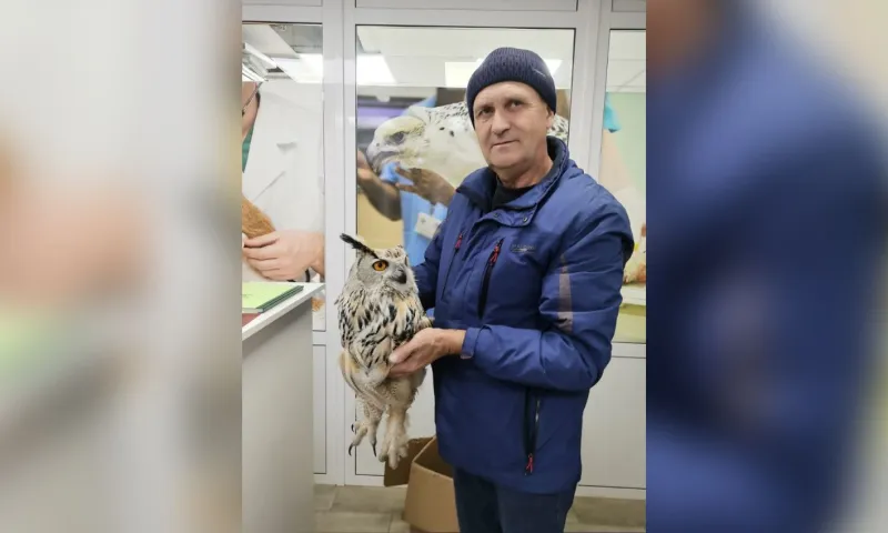 Краснокнижного филина спасли в Алтайском крае