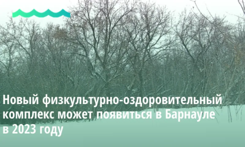 Новый физкультурно-оздоровительный комплекс может появиться в Барнауле в 2023 году