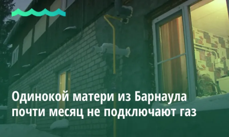 Одинокой матери из Барнаула почти месяц не подключают газ