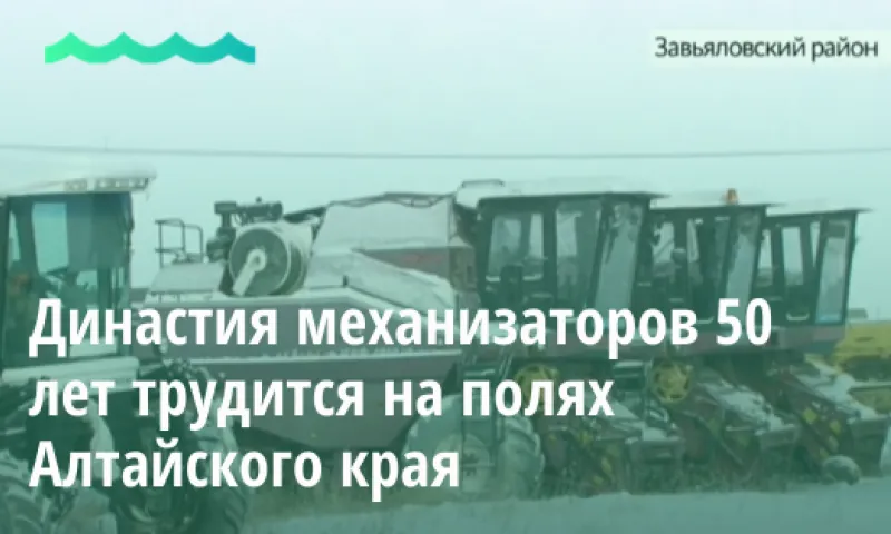 Видео: династия механизаторов 50 лет трудится на полях Алтайского края