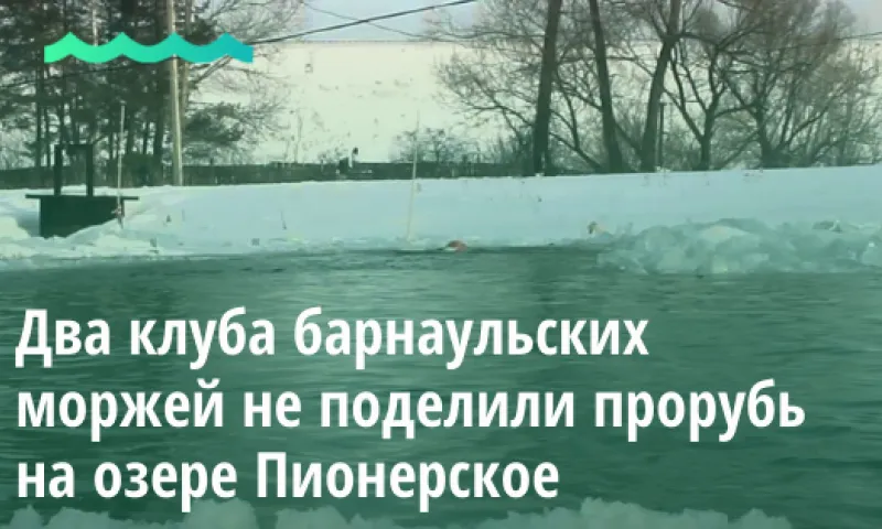 Стало известно, из-за чего два клуба барнаульских моржей не поделили прорубь на озере Пионерском