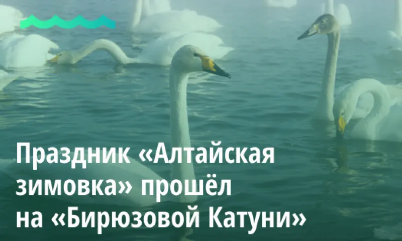 Праздник «Алтайская зимовка» прошёл на «Бирюзовой Катуни»