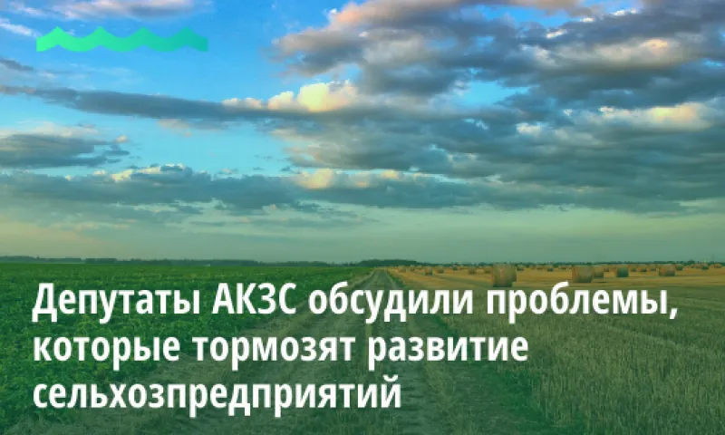 Депутаты АКЗС обсудили проблемы, которые тормозят развитие сельхозпредприятий