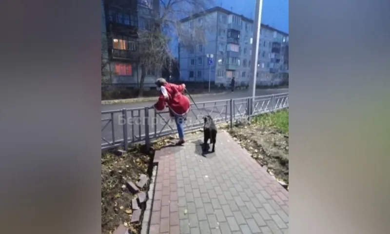 Рубцовчане возмутились забором, перегородившим пешеходные дорожки