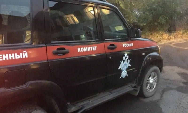 Житель Алтайского края пойдёт под суд за изнасилование падчерицы