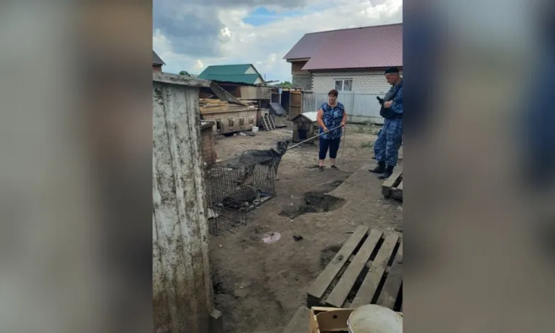 Алтайские приставы вывезли десятки собак из частного дома в приют для животных
