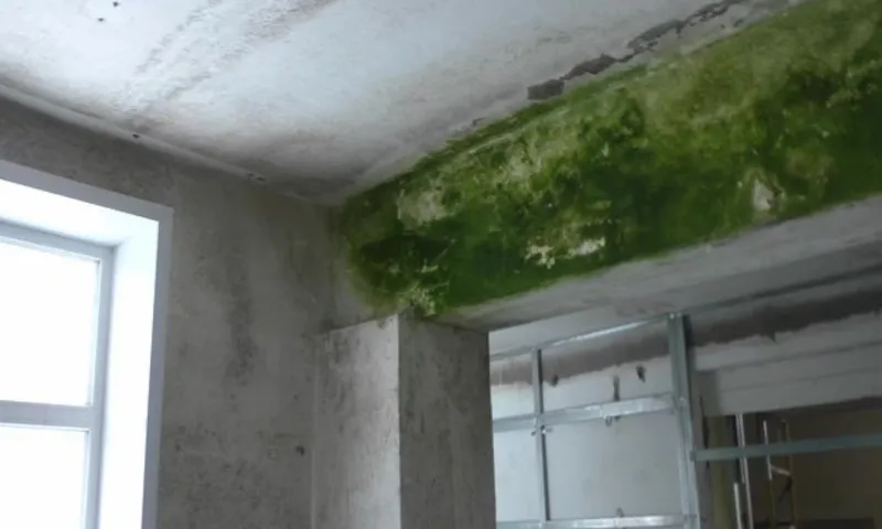 «Просто ужас»: жители села в Алтайском крае жалуются на некачественный ремонт школы