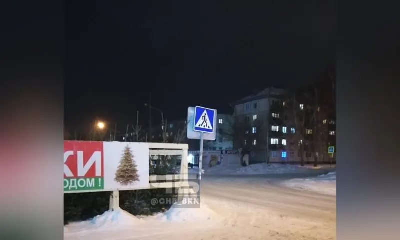 Барнаульцы недовольны ёлочным базаром, который загородил пешеходный переход