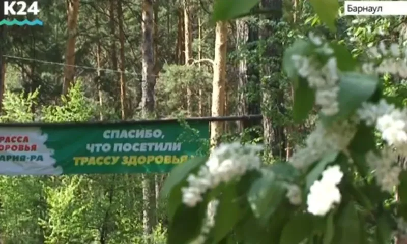 День ходьбы пройдёт на барнаульской «Трассе здоровья»