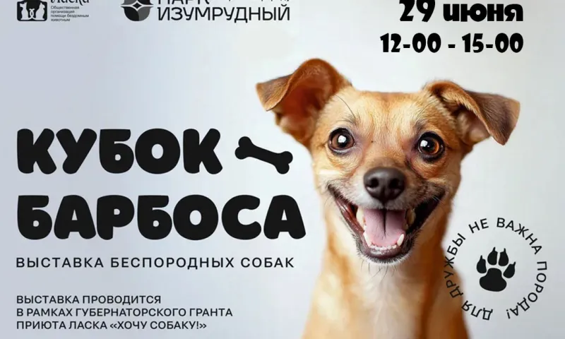 Беспородных собак покажут на ринге в парке «Изумрудный» 
