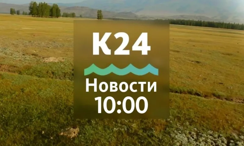 Почти 500 дополнительных бюджетных мест появится в вузах Алтайского края и другие темы в выпуске новостей в 10:00