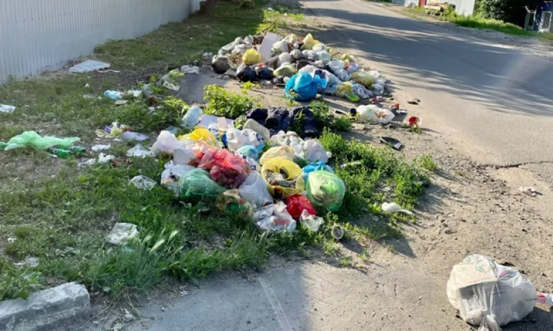 Мусорная куча образовалась на одной из улиц Барнаула